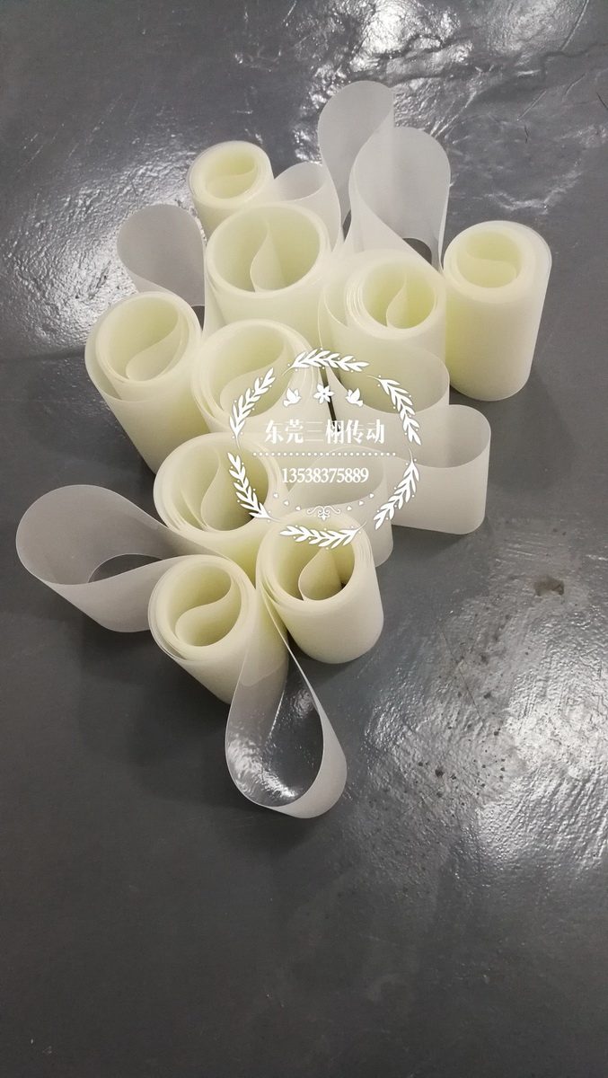 背光輸送帶，檢測(cè)帶